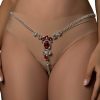 Body Chains | Cusmyre Sexy Red Rhinestone Panties Thong Crystal Waist Belly Bikini Body Chain Jewelry Rhinestone Underwear G-String Chain For Women (Silver 1)